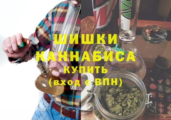 ГАЛЛЮЦИНОГЕННЫЕ ГРИБЫ Горнозаводск