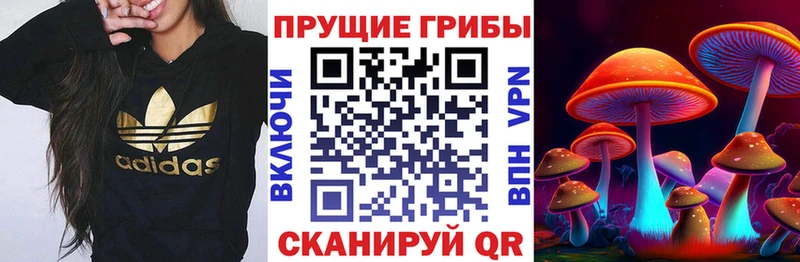Галлюциногенные грибы ЛСД  Купить где  Славгород 